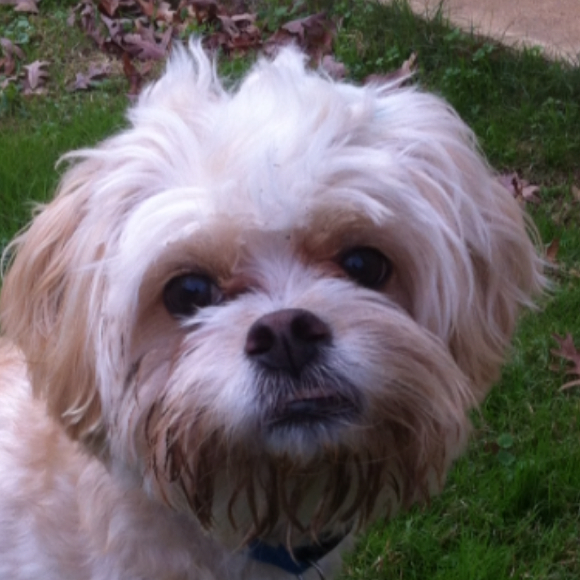 Profile Picture of Robin Barnes (@robnb) on Poshmark