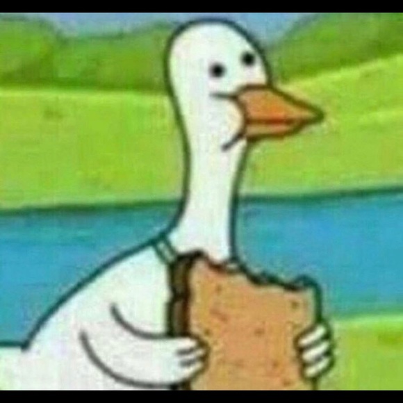 Profile Picture of Livia Wenclevski (@livia862) on Poshmark