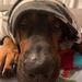 Profile Picture of Tina-Marie Foshee (@tm3dventures) on Pinterest