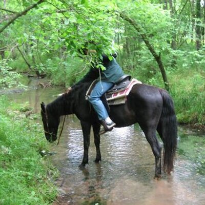 Profile Picture of Andrew Keyes (@Silastis) on Twitter