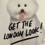 Profile Picture of Amy Robjohn (@knobjohn) on Instagram