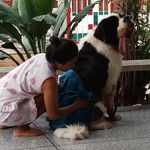 Profile Picture of Alan Yormark (@yormark) on Instagram