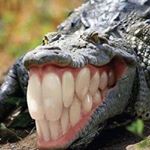 Profile Picture of Andrew Bockoras (@andrew.1826) on Instagram
