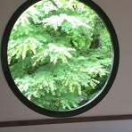 Profile Picture of Yuko Uemura (@Yuko-Uemura) on Facebook