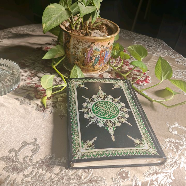 Profile Picture of Elham mohamed (@elham.mohamed89) on Tiktok