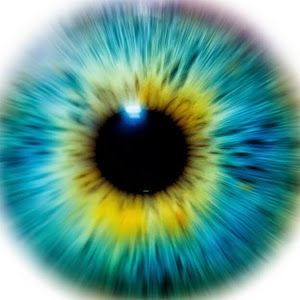 Joshua Wink - Tiktok Profile Picture of Joshua Wink (@joshua.wink) on Tiktok