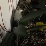 Val Duncan - Instagram Profile Picture of Val Duncan (@valduncan13) on Instagram