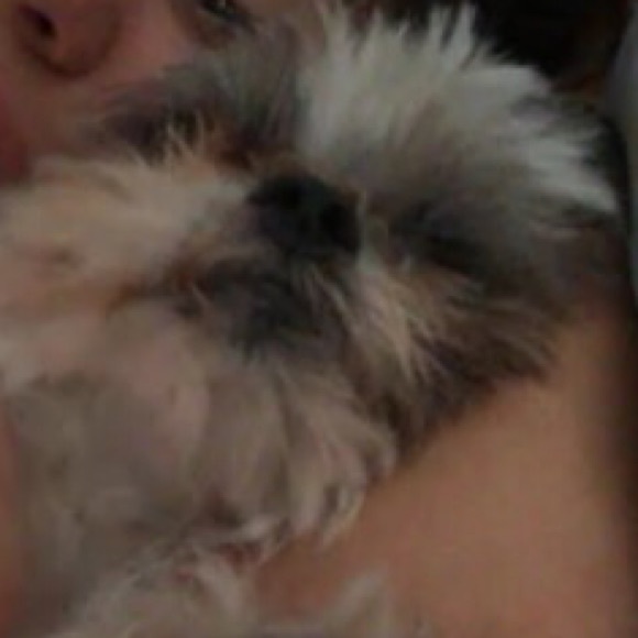 Profile Picture of Pamela Visbal (@pamelavisbal) on Poshmark