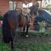 Profile Picture of Antonio Labra (@antonio.labra.5264) on Facebook