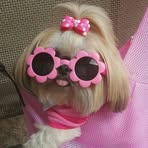 Profile Picture of Shannon Foo (@shannonfooshaowei) on Facebook