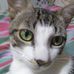 Profile Picture of Margo Neves (@margo.neves.50) on Facebook