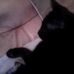 Profile Picture of Lise Thomas (@lise.thomas.526) on Facebook