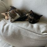 Profile Picture of Kim Gray (@kim.gray.7564) on Instagram