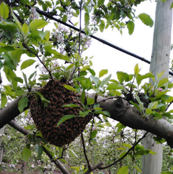 Profile Picture of Marck Duval (@marckduval70) on Poshmark