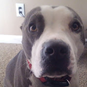 Profile Picture of Gregg Critter Muse (@greggcrittermuse6347) on Youtube