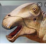 Profile Picture of Luke Swain (@luke.swain123) on Instagram