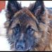 Profile Picture of Beverly Lester (@beverly.lester.509) on Facebook