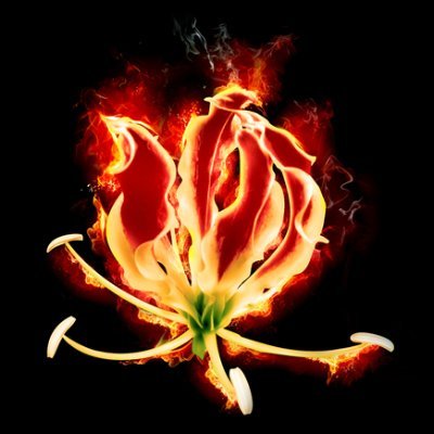 Profile Picture of Usha Ganesh (@UshaGan90409362) on Twitter
