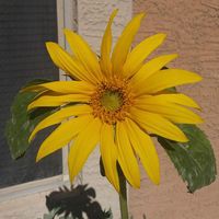 Profile Picture of Victoria Mikoch (@victoria-mikoch) on Quora