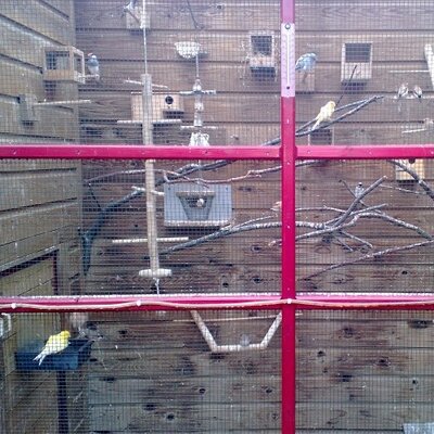 Profile Picture of Erik Eeltink (@eeltink_erik) on Twitter