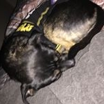 Profile Picture of Jason Larry Angerhofer (@jasonangerhofer8) on Instagram