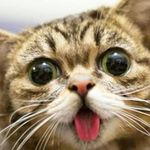 Profile Picture of Rylan Jeff coster (@rylanjeffcoster) on Instagram