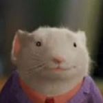 Profile Picture of 𝐜𝐡𝐫𝐢𝐬 𝐬𝐡𝐢𝐞𝐥𝐝𝐬 (@grebojs_) on Instagram