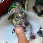 Profile Picture of George Swires (@georgeswires) on Instagram