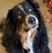 Profile Picture of Sharon Schrader (@sharon.schrader.393) on Facebook