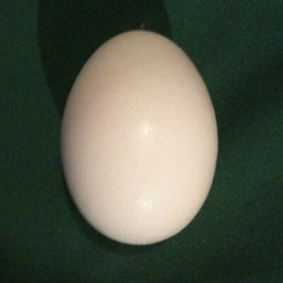 Profile Picture of Jeff Baldock (@BaldockJeff) on Twitter