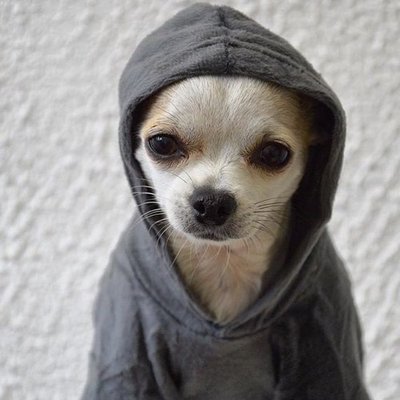 Profile Picture of Oliver Hoffmann (@Hoffmann2Oliver) on Twitter