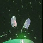 Profile Picture of tyler steiner (@tkickss) on Instagram