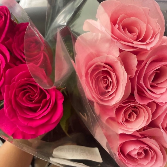 Profile Picture of Gel Basuino (@sophiab552) on Poshmark