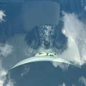 Profile Picture of Nancy Coffman-Phillips (@NancyCoffman-Phillips) on Youtube