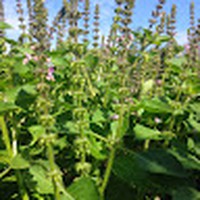 Profile Picture of James Blinstrub (@james-blinstrub) on Quora