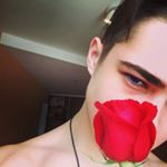 Profile Picture of mandy mckay (@mandy8497gz) on Instagram