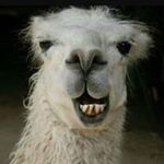 Profile Picture of Sean Streeter (@sstreet2222) on Instagram