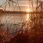 Profile Picture of tray.hardesty (@tray.hardesty) on Tiktok