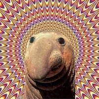 Profile Picture of Kevin Creegan (@kevin-creegan) on Quora