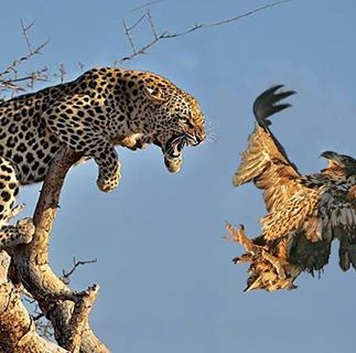 Profile Picture of Apollo Sseluwu (@apollo.sseluwu) on Facebook