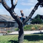 Profile Picture of Damien Lesher (@neimad7_) on Instagram