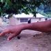 Profile Picture of Joseph Batori (@joseph.batori.7) on Facebook
