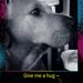 Profile Picture of trinidy faye travis (@trinidyfaye) on Pinterest