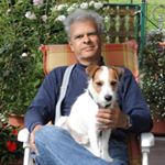 Profile Picture of David Springer (@david.springer.18041) on Instagram