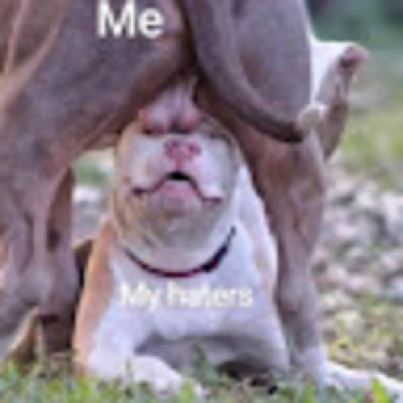 Profile Picture of Dc Felland (@dcfelland20) on Poshmark