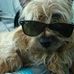 Profile Picture of Toby Dexter (@toby.dexter.14) on Facebook