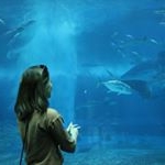 Profile Picture of Tsz Ying Chow (@tszying_chow) on Instagram