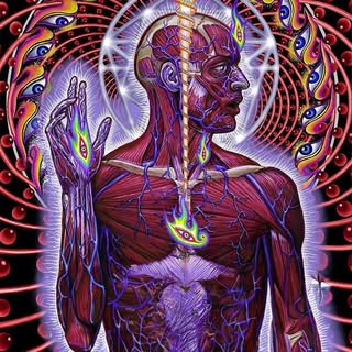 Profile Picture of Terrence Reid (@reid.terrence) on Instagram