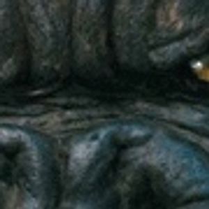 Profile Picture of James Ticknor (@streetgorillaz) on Myspace