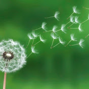 Profile Picture of Julia Gasca (@juliagasca8242) on Youtube